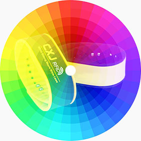 Buy Colorful RFID Silicone Wristband RS-AW011