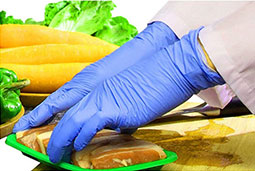 Gloves used in Food processing