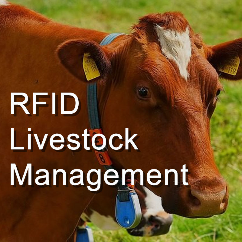 The Trend of RFID Technology in Intelligent Animal Husbandry Industry