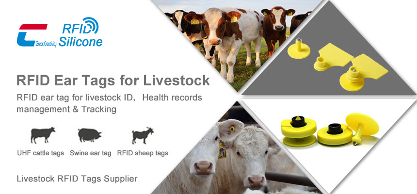 The types of livestock rfid tags are cow rfid tags, uhf cattle tags, rfid sheep tags
