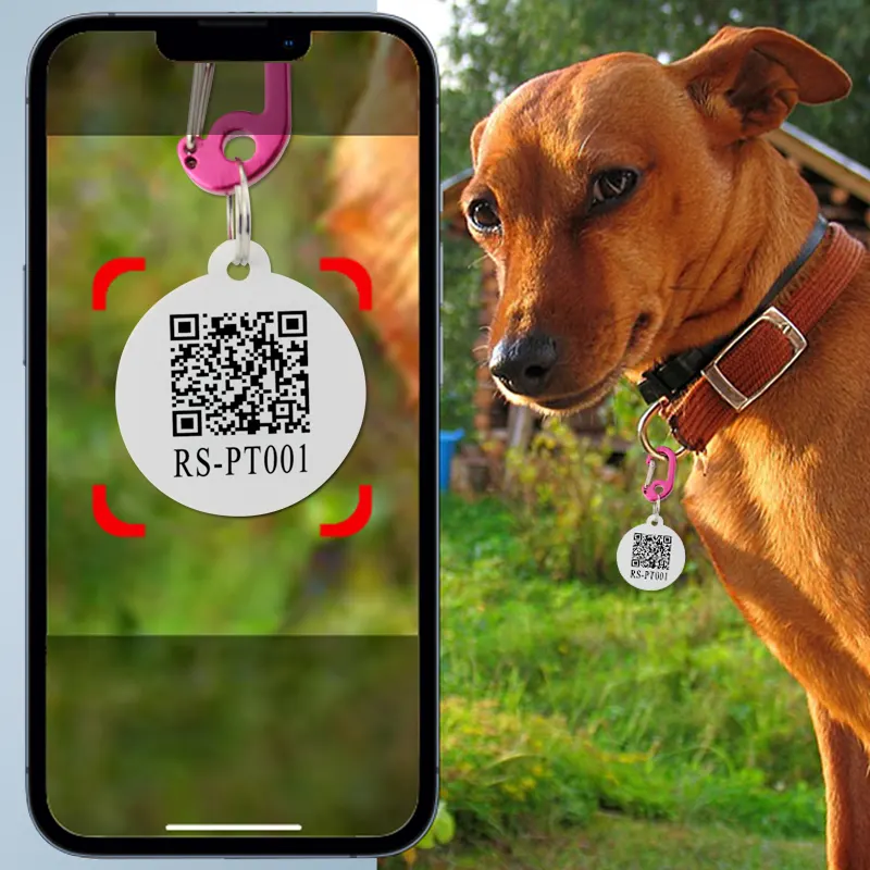 Pet NFC Tags QR Code NFC Identification for Pet Protection