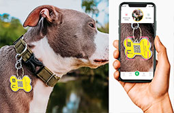 Metal Edge QR-code  NFC Dog Tag