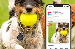 Tap NFC tags to quickly access pet information