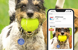 Accessible Metal Edge NFC Smart Dog Tag QR Code Tag