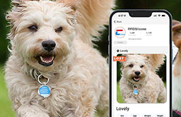 Tap RFID NFC Dog Tags Get pet profile