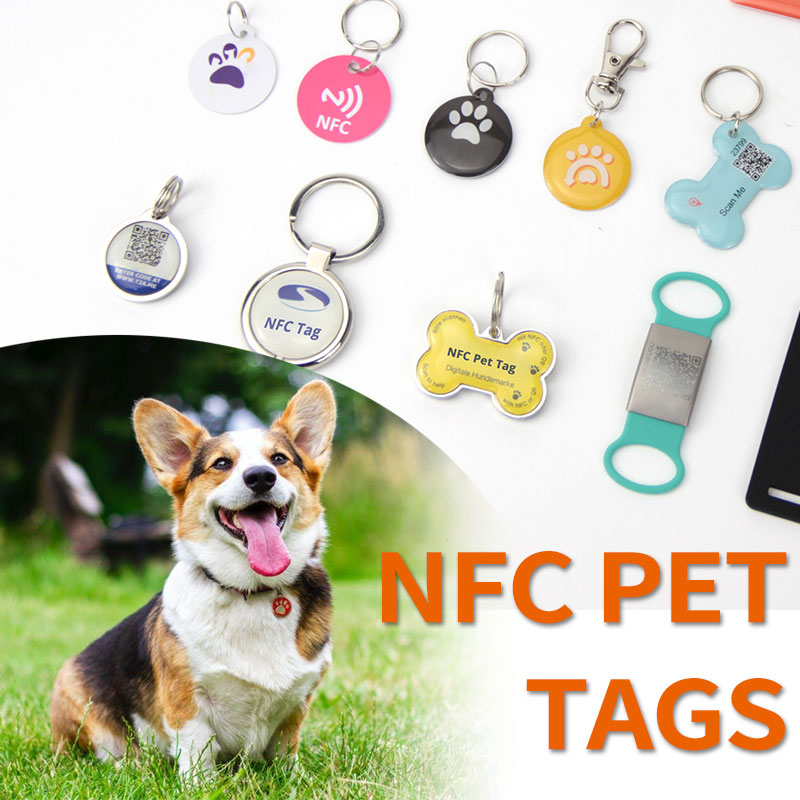 NFC Pet Tags Make It Easier To Quickly Find & Return Lost Pets