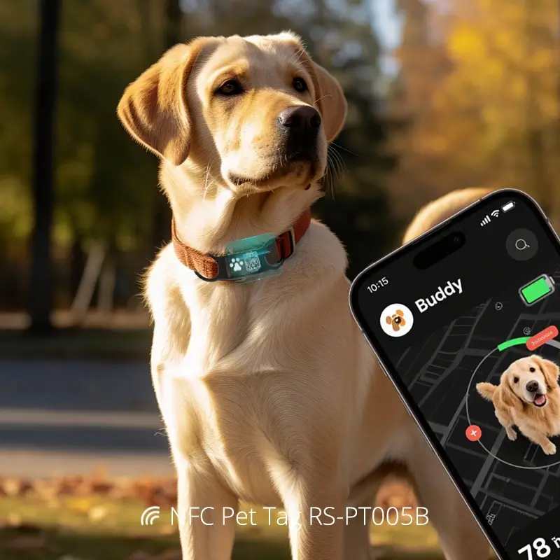 Wholesale Dog Tags Laser QR Code Metal Smart Pet Tag