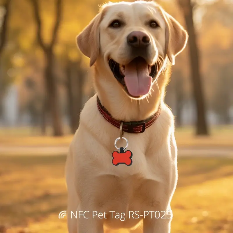 NFC Digital Dog Tag Silicone Tag Waterproof