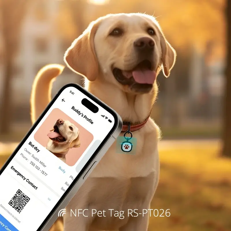 Silicone Pet ID Collars Anti-lost Pet Tags