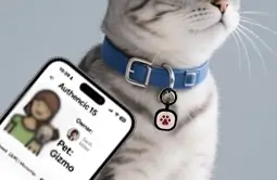 pet id collars access to owners contact details easily and quickly