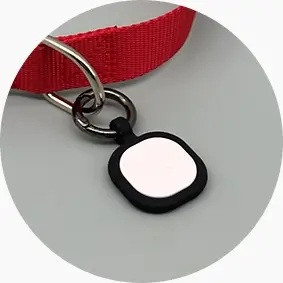 pet id collars rs-pt026
