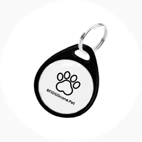 custom cat name tags rs-pt027