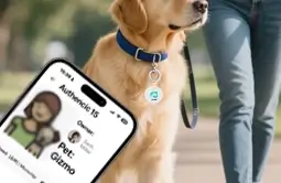 modern dog tags can access to owners contact details easily & quickly