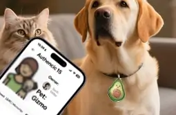 personalized pet tags can access to owners contact details easily and quickly