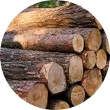 for wood management